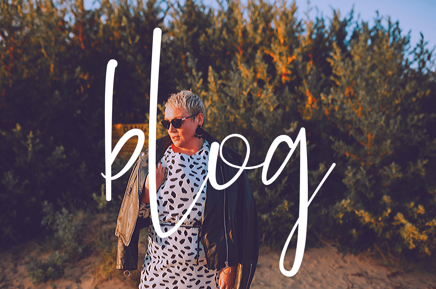 blog (2)