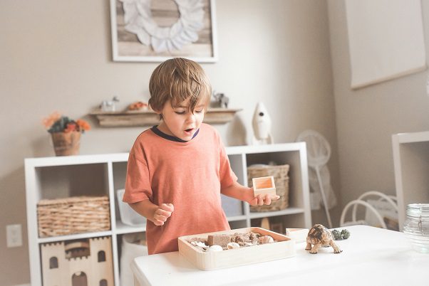 STEM Subjects With Your Child